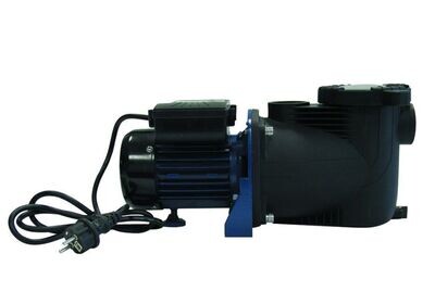 Pompe de filtration avec TIMER - Modèle 1-2 6-8m3/h pour piscine 20-40m3