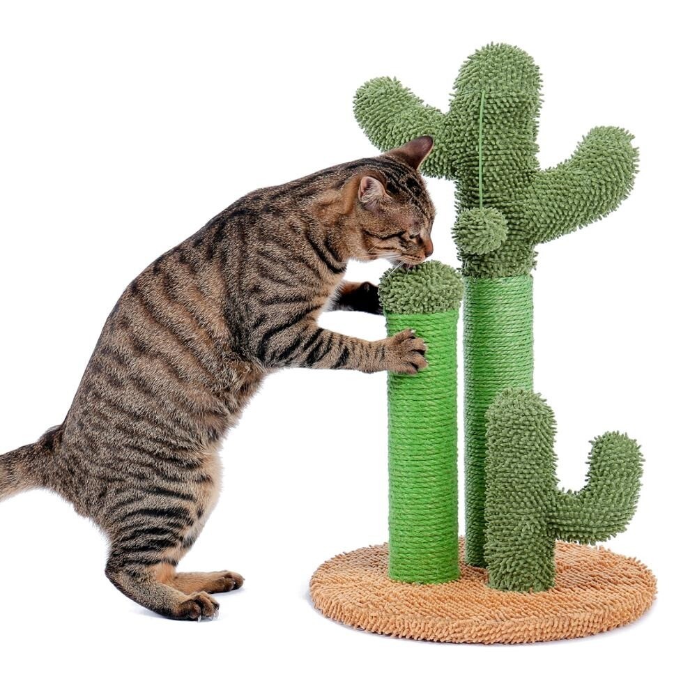 Tiragraffi Per Gatti