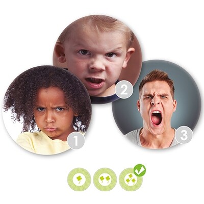 Herken en begeleid de emoties