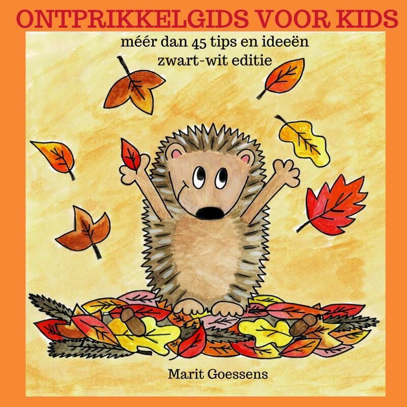 Ontprikkelgids voor kids (1 bladzijde ingekleurd)
