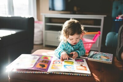 PRENTENBOEKEN