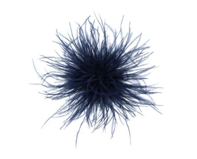 Broche veren marine blauw
