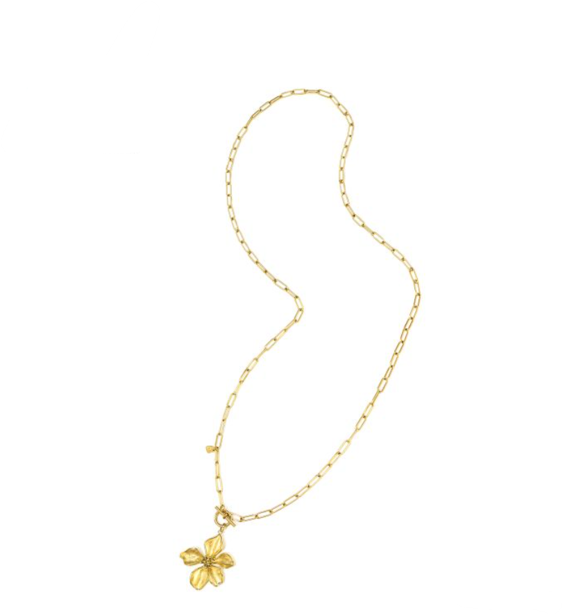 Ketting Ivi