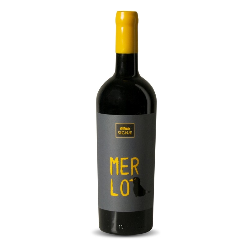 Merlò IGT Umbria Rosso 2019 - 0,75lt