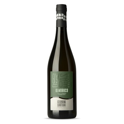 Olmobuco IGT Umbria white wine 2022 - 6 bottles 0,75lt