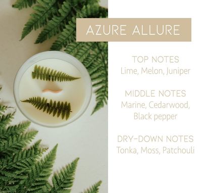 L'Envie de Valentine Geurkaars | Azure Allure