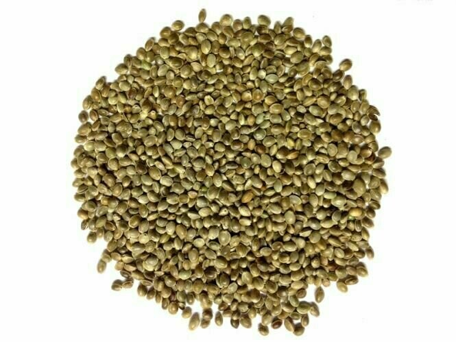 Kempzaad (hennep) De Poorter 5kg