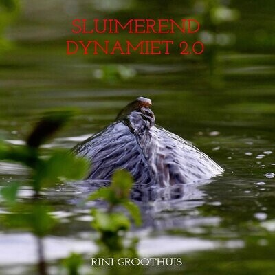 Sluimerend Dynamiet 2.0 - Het Laatste Testament - Rini Groothuis