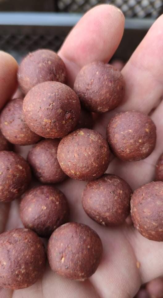 The Boilie Factory Ready Made Boilies Royal Spice - 16mm/5kg