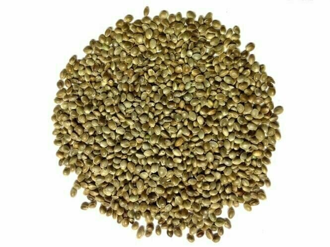 Kempzaad 1kg Hennepzaad