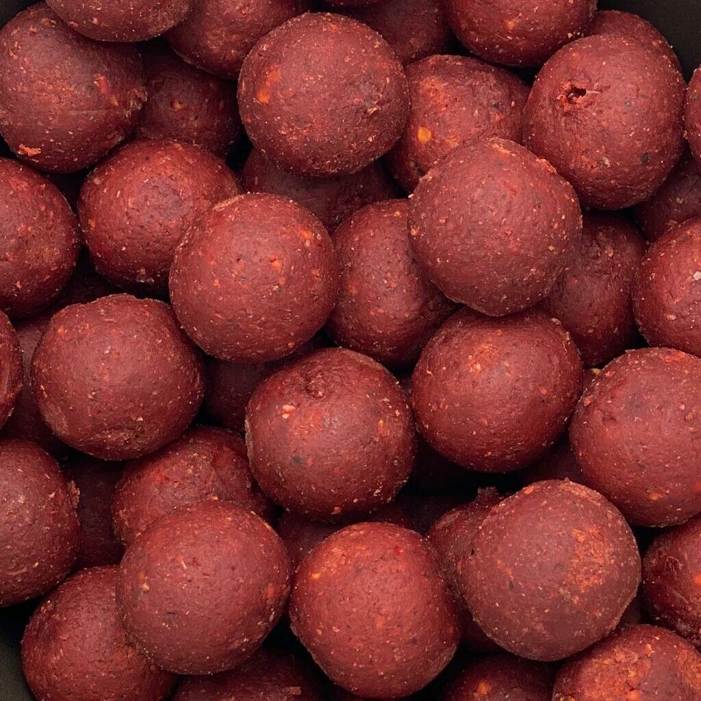 mild Beurs Westers Carpelicious Ready Made Boilies Red Spice - 16mm/5kg