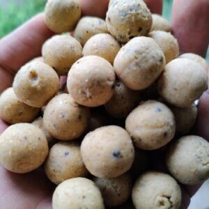 The Boilie Factory Ready Made Boilies The Sweet Sensation - 20mm/5kg