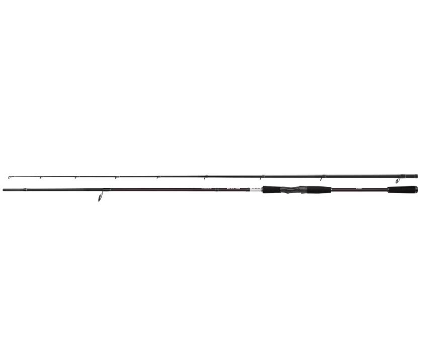 Shimano Yasei BB AX Perch Carolina Rig Spin 2,40m 4-14g