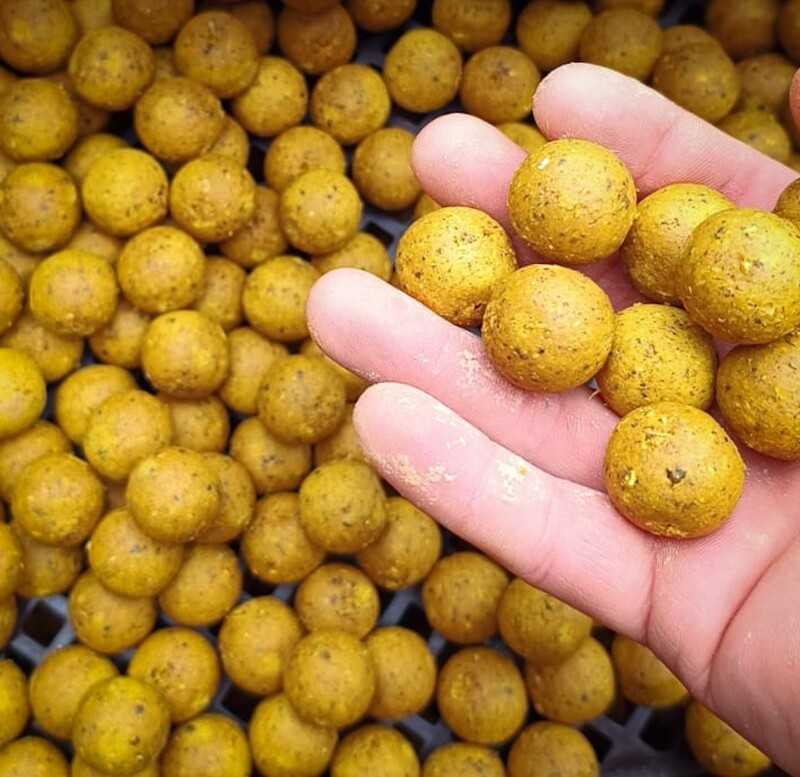The Boilie Factory Ready Made Boilies The Dominator - 20mm/5kg