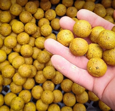 The Boilie Factory Ready Made Boilies The Dominator - 20mm/5kg The Boilie Factory Ready Made Boilies The Dominator - 20mm/5kg