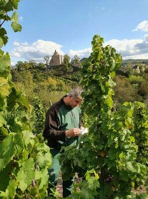 Riesling Kabinett 2014 Rausch-Zilliken (Saar) Riesling Kabinett 2014 Rausch-Zilliken (Saar)