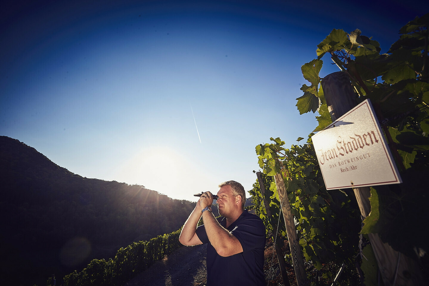 Pinot Noir 2016 droog Grosses Gewächs Hardtberg -Jean Stodden (Ahr)