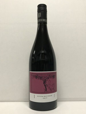 Pinot noir VDP.Gutswein 2019 droog Friedrich Becker (Pfalz)