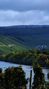 Riesling- 2022 droog Grosses Gewächs Paulinshofberg-Fritz Haag (Mosel)