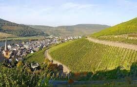 Riesling Spätlese Feinherb 2020 Alte Reben Graach Domprobst-Selbach Oster (Mosel)