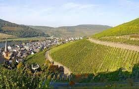 Riesling-Auslese**-2019 Zeltingen Schlossberg-Selbach Oster (Mosel)