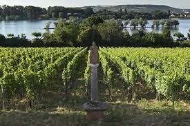 Riesling 2022 droog Alte Reben-Peter Jacob Kühn (Rheingau) Riesling 2022 droog Alte Reben-Peter Jacob Kühn (Rheingau)