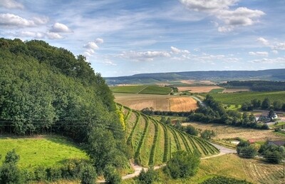 Pinot noir-VDP.Grosses Gewächs-2019 droog Schlossberg-Von Neipperg