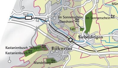 Pinot Noir 2019 droog Grosses Gewächs Kastanienbusch Köppel-Dr. Wehrheim (Pfalz)