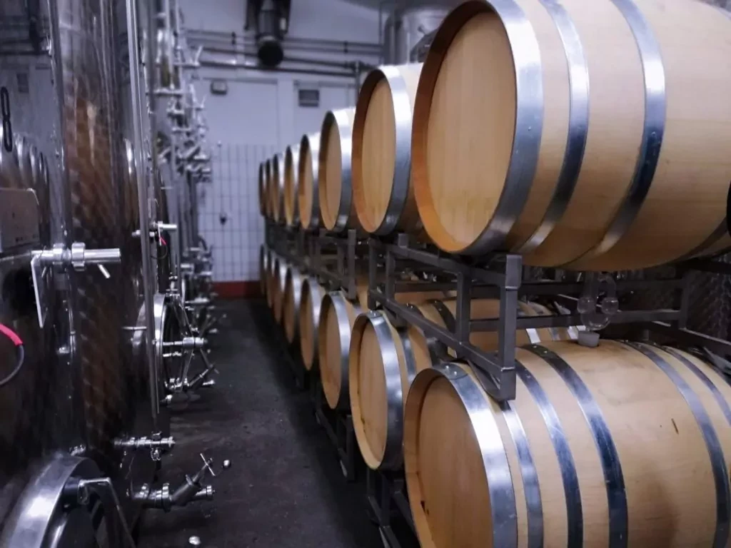 Chardonnay 2019 droog Godramstein Stahlbühl-Münzberg (Pfalz)