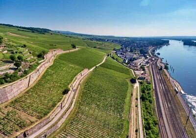 Riesling 2022 droog Grosses Gewächs Berg Rottland-Johannishof (Rheingau)