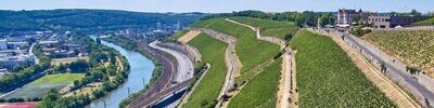 Riesling-Grosses Gewächs-2022 droog Stein-Juliusspital