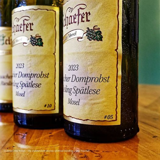 Riesling-Kabinett-2024 Graach Domprobst-Willi Schaefer