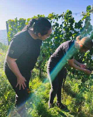 Pinot Noir-2022 droog Blauschiefer-Meyer Näkel (Ahr)