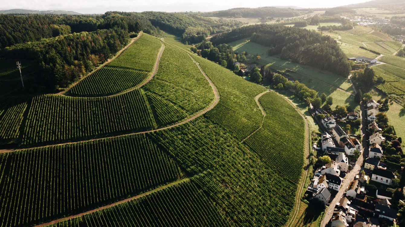 Riesling-Grosses Gewächs-2016 droog  Karthäuserhofberg - Karthäuserhof (Ruwer)
