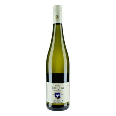 Riesling 2021 droog Devon-Toni Jost (Mittelrhein)
