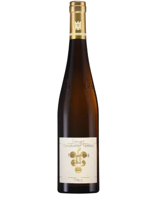 Riesling 2016 droog Grosses Gewächs Kastanienbusch-Rebholz (Pfalz)