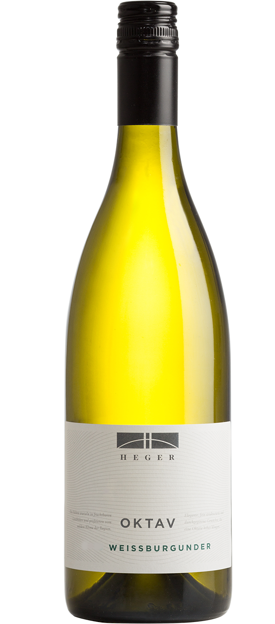 Pinot blanc-2023 droog Oktav- Heger (Baden)
