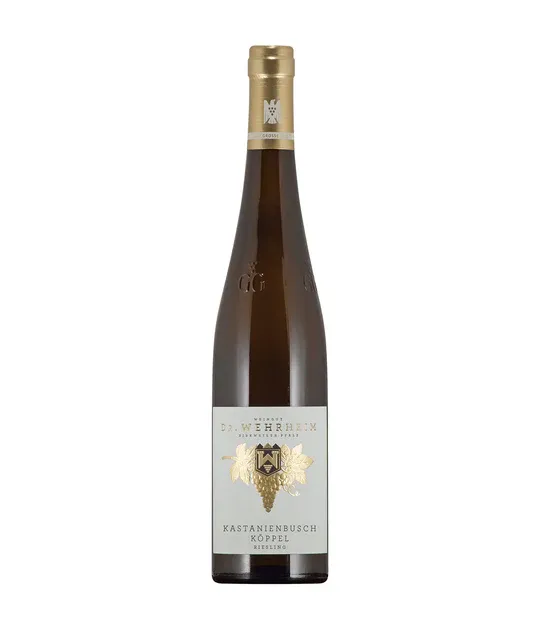 Riesling 2021 droog Grosses Gewächs Kastanienbusch Köppel-Dr. Wehrheim (Pfalz)