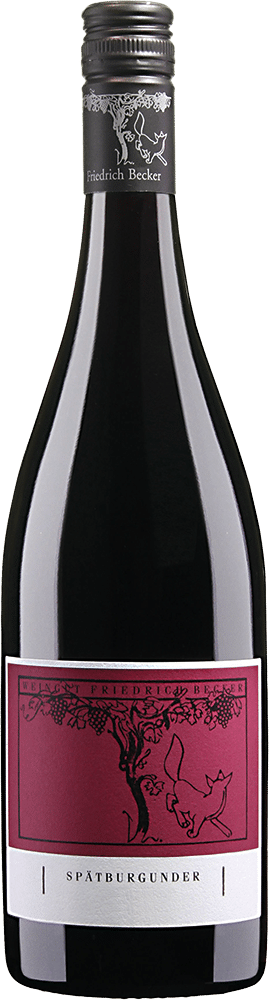 Pinot noir 2019 droog-Friedrich Becker (Pfalz)