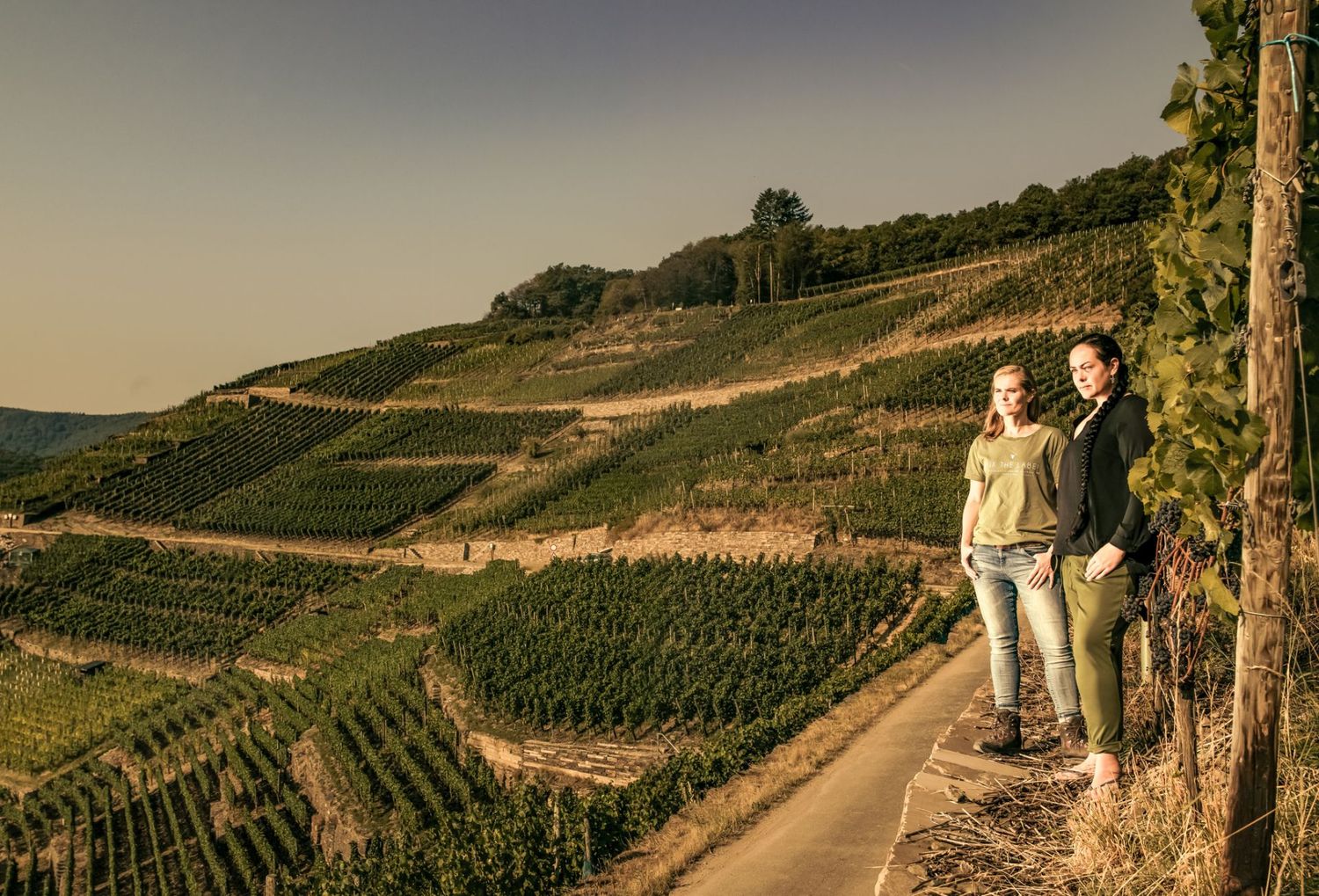 Pinot Noir-Grosses Gewächs-2022 droog Kräuterberg -Meyer Näkel