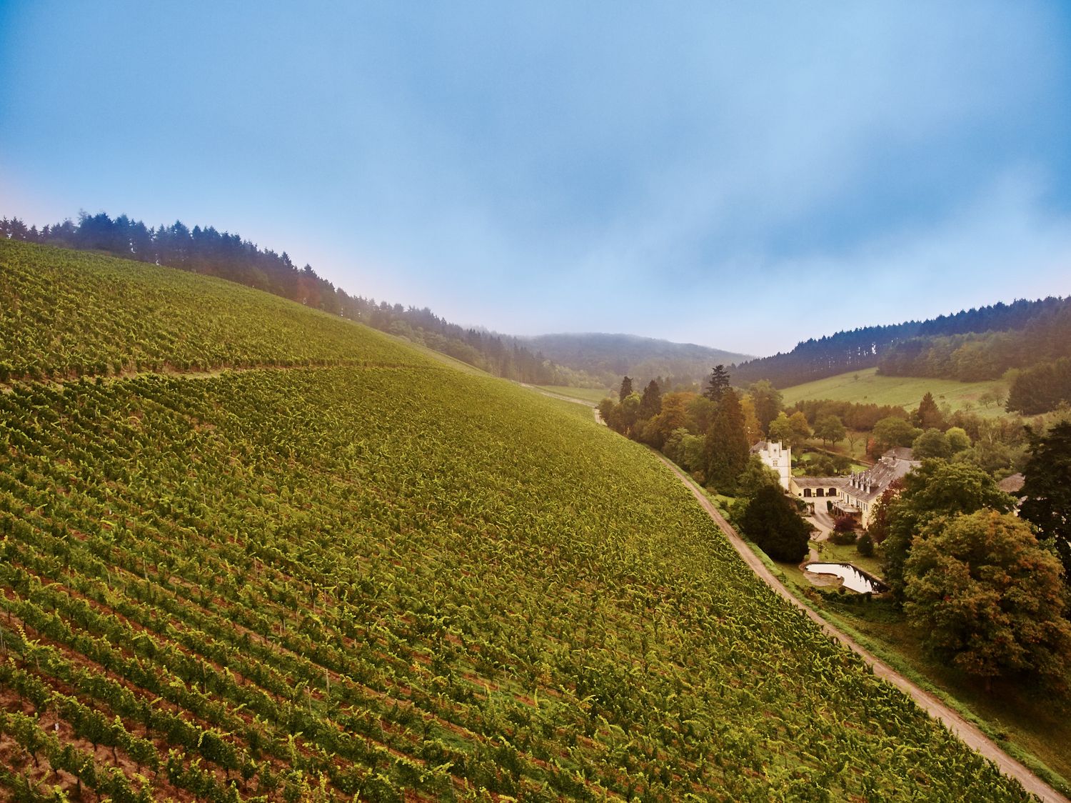 Riesling-Eiswein-2009 Eitelsbach Karthäuserhofberg-Karthäuserhof (Ruwer)