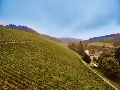Riesling-Eiswein-2009 Eitelsbach Karthäuserhofberg-Karthäuserhof (Ruwer)
