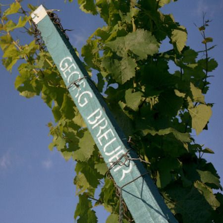 Riesling-2020 droog Rauenthal Nonnenberg Georg Breuer Rheingau