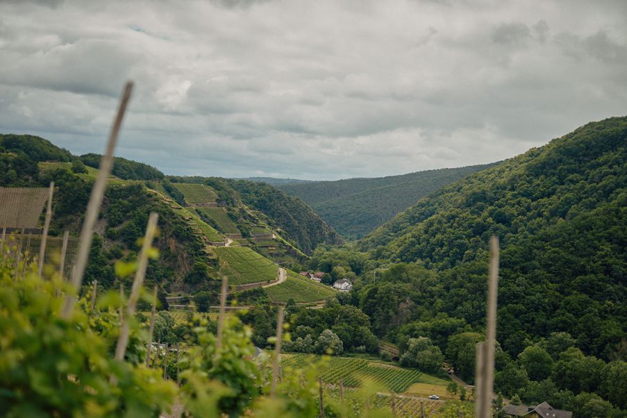 Pinot Noir-Grosses Gewächs-2015 droog Kräuterberg -Meyer Näkel-Ahr