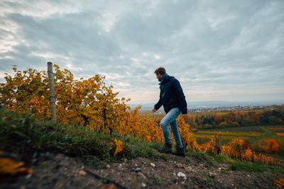 Riesling Beerenauslese-2018 0,375L  Lenchen Peter jacob Kühn (Rheigau)