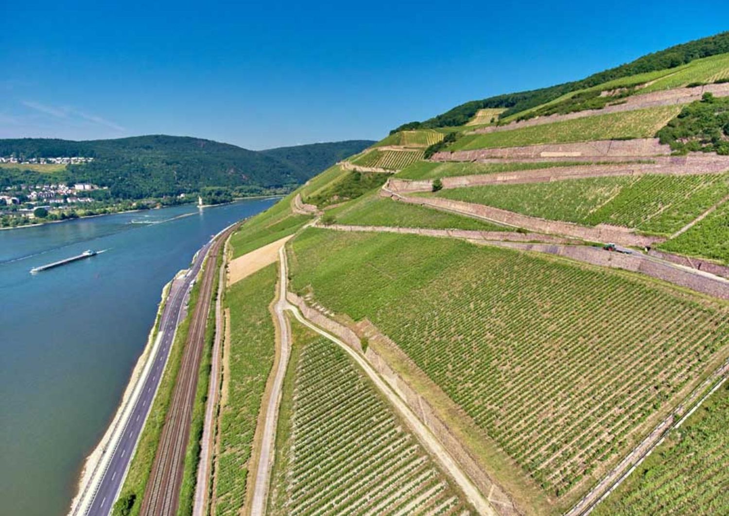 Riesling-Grosses Gewächs-2023 droog Berg Schlossberg-Kesseler