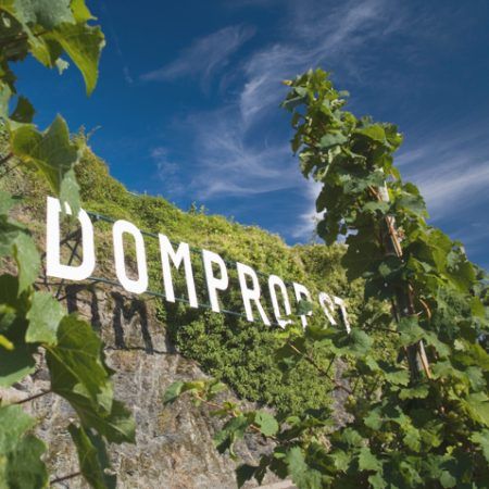 Riesling-Auslese-Goldkapsel-Veiling-2004 0,375 l Graach Domprobst -Willi SChaefer (Mosel)