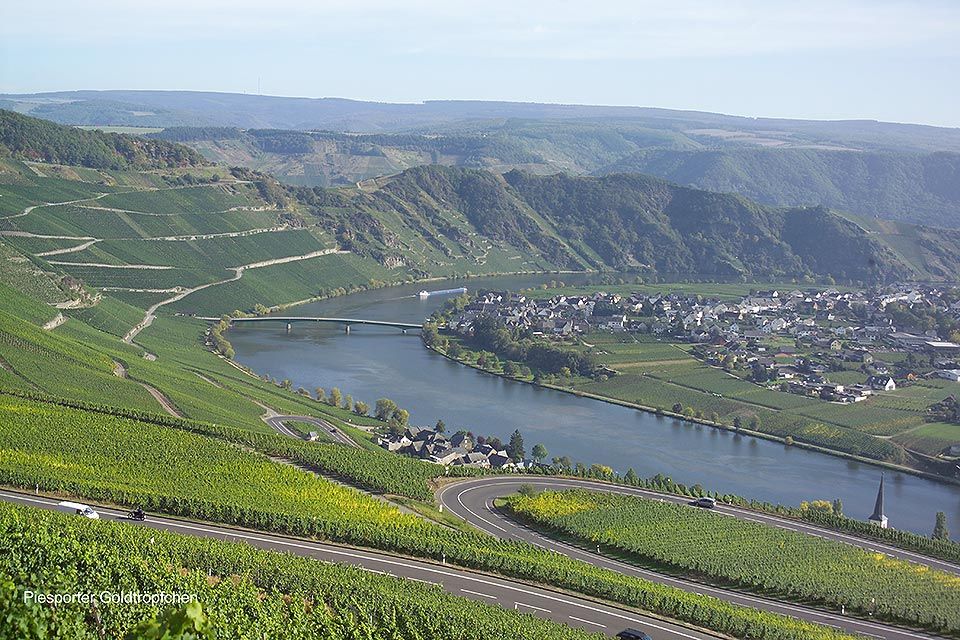 Riesling Auslese 2020 Goldtröpfchen-Haart (Mosel)