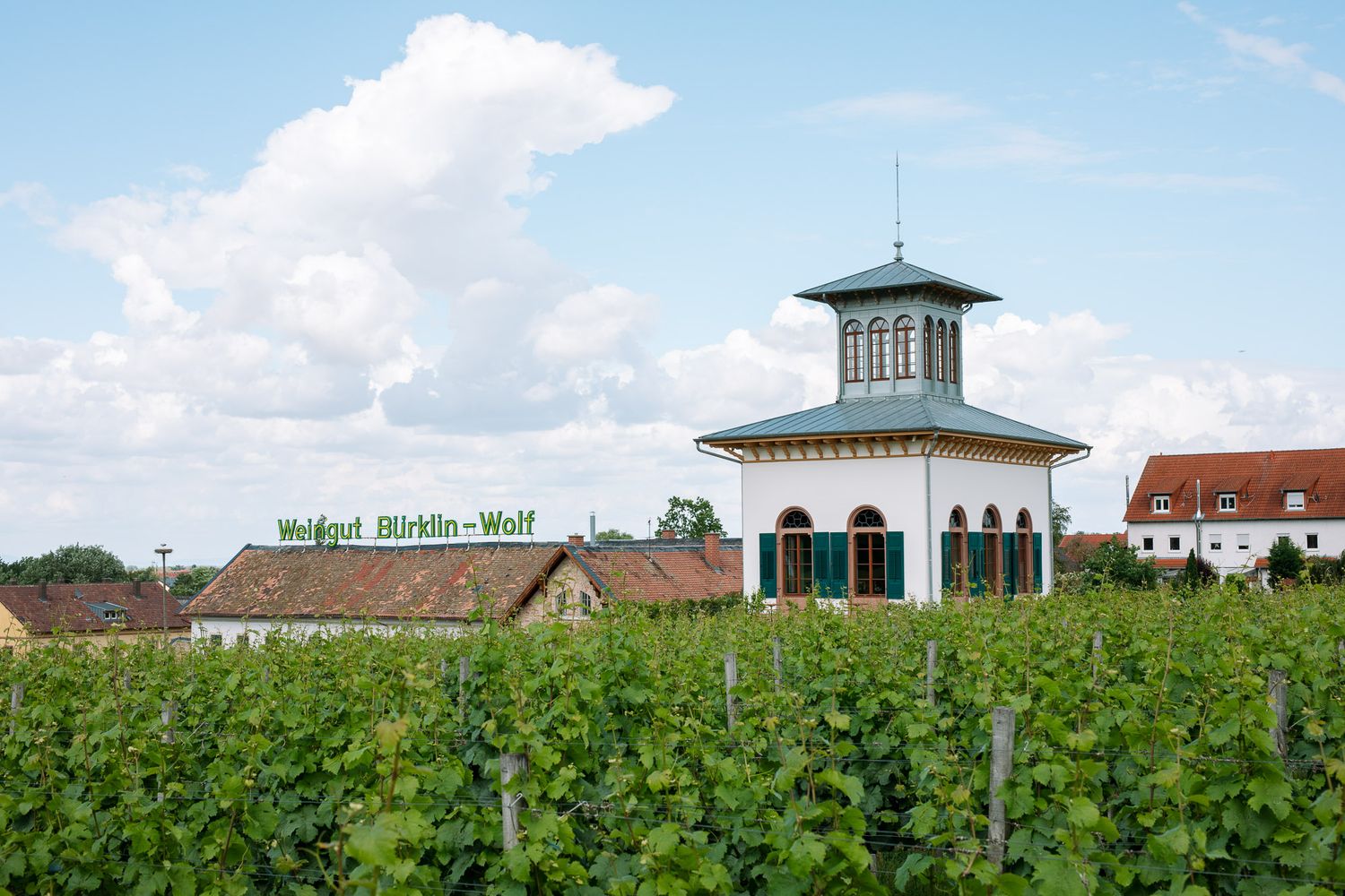 Pinot noir-Grosses Gewächs-2018 droog Häusleboden Dr. Heger (Baden) Pinot noir-Grosses Gewächs-2018 droog Häusleboden Dr. Heger (Baden)
