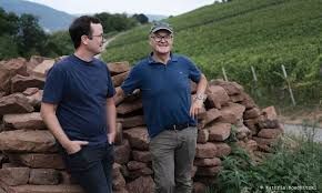 Pinot noir 2022 droog Grosses Gewächs Centgrafenberg -Rudolf Fürst (Franken) Pinot noir 2022 droog Grosses Gewächs Centgrafenberg -Rudolf Fürst (Franken)